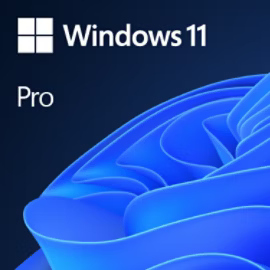 MICROSOFT WINDOWS 11 PRO 64BIT INGILIZCE OEM FQC-10528