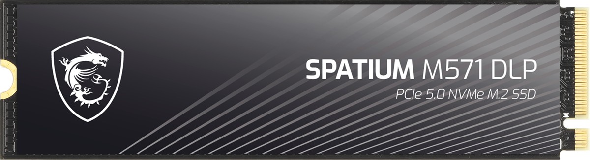 MSI SSD SPATIUM M571 DLP PCIE 5.0 NVME M.2 4TB - 2