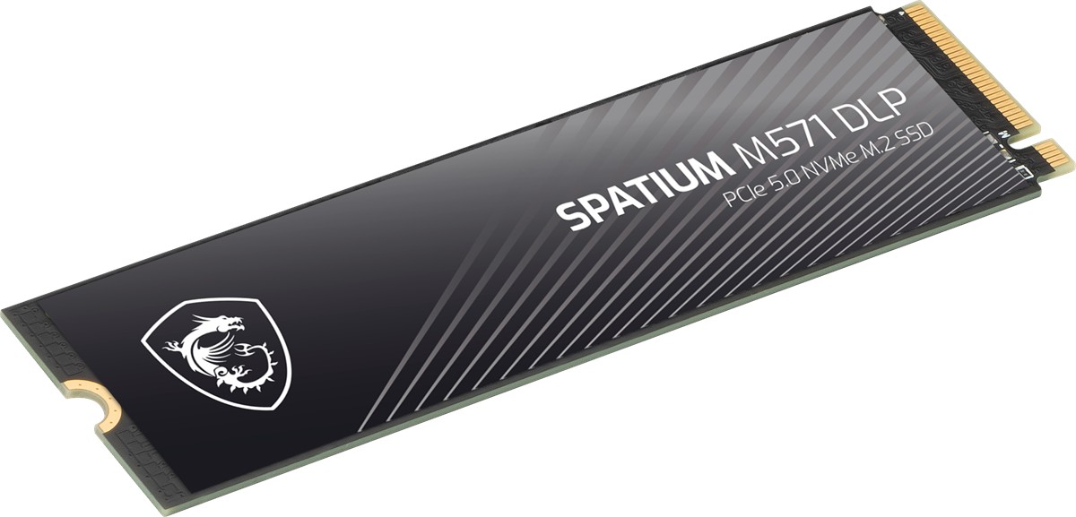 MSI SSD SPATIUM M571 DLP PCIE 5.0 NVME M.2 4TB - 3