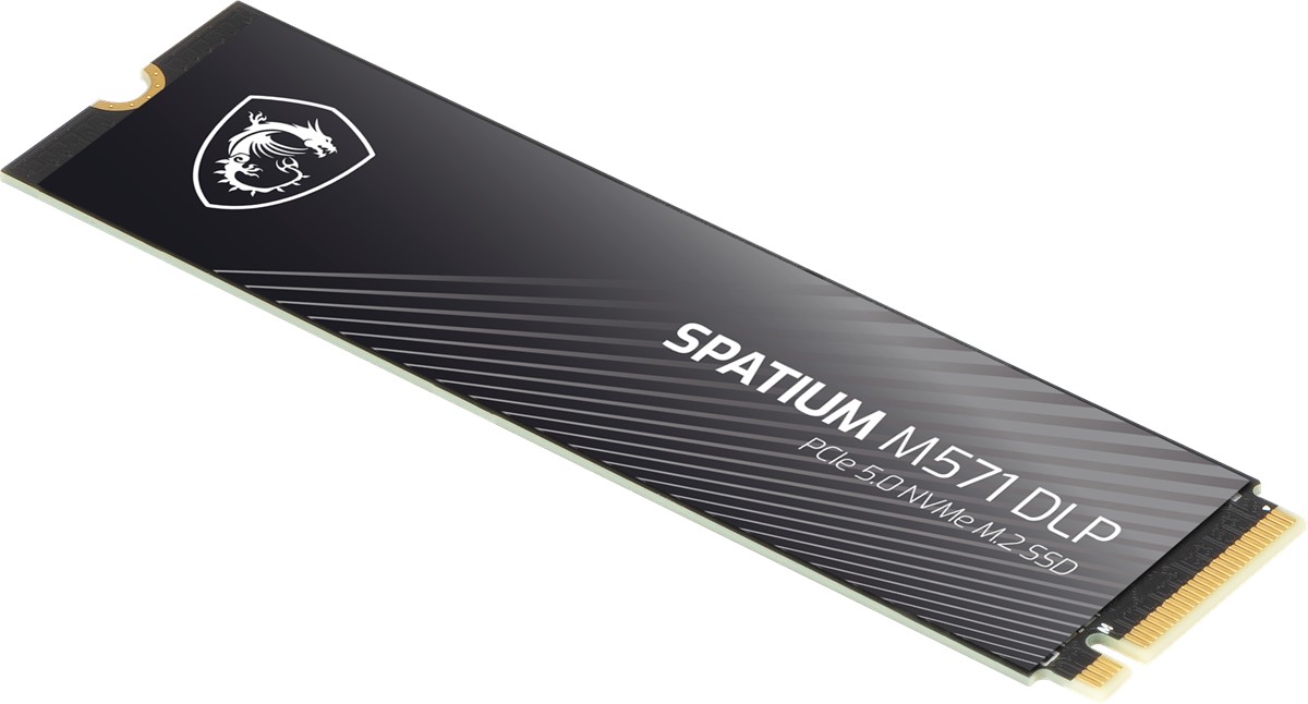 MSI SSD SPATIUM M571 DLP PCIE 5.0 NVME M.2 4TB - 4